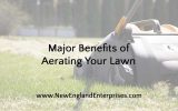 5 Major Benefits of Aerating Your Lawn