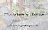7 Tips for Better Yard Drainage