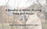 4 Benefits of Winter Pruning Trees and Shrubs